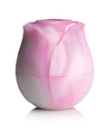 Gossip Cum Into Bloom Suction Rose - Pink Swirl