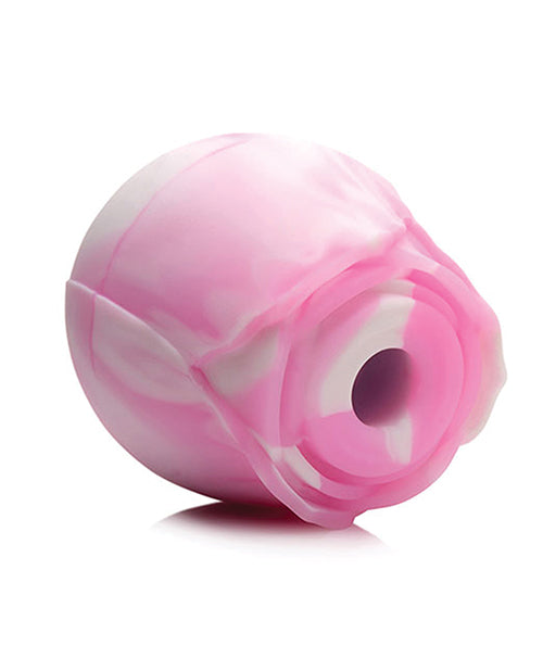 Gossip Cum Into Bloom Suction Rose - Pink Swirl