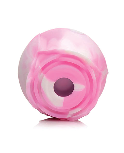 Gossip Cum Into Bloom Suction Rose - Pink Swirl