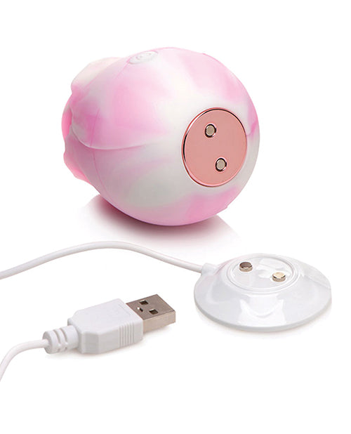 Gossip Cum Into Bloom Suction Rose - Pink Swirl