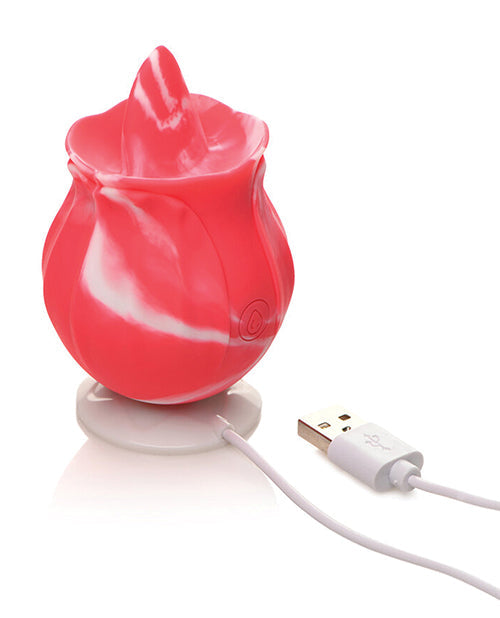 Gossip Cum Into Bloom Licking Rose - Pink Twirl