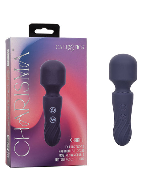 Charisma Charm Wand Massager - Blue