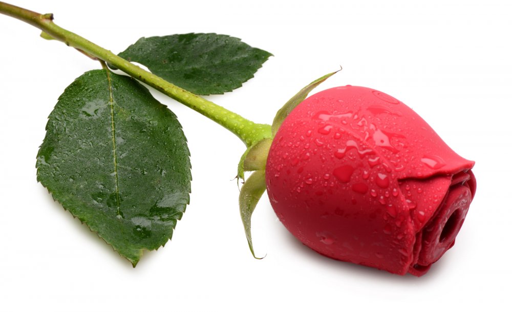 Inmi Bloomgasm Wild Rose - Red
